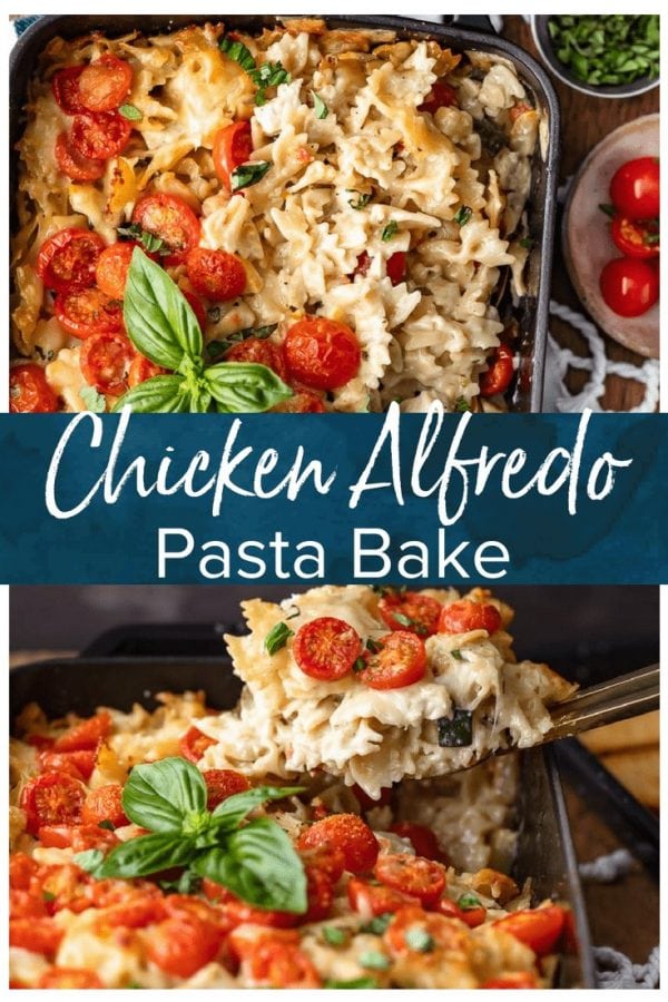 This Chicken Alfredo Pasta Bake is so cheesy, so creamy, and so full of flavor! I love this Chicken Alfredo Casserole for easy weeknight dinners. It's filled with chicken, cheese, tomatoes, pasta, and vegetables, and cooked in a creamy Alfredo sauce. I can't get enough of this Chicken Alfredo Bake!