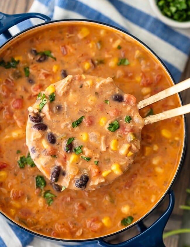 Creamy Chicken Tortilla Soup is one of my favorite fall soup recipes. It's creamy, it's delicious, and it's filled with all of my favorite Tex-Mex ingredients. This easy soup recipe is perfect for any night of the week, and it's so easy to save and reheat later!