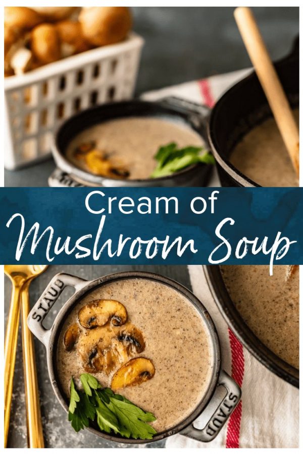Cream of Mushroom Soup is not only a delicious soup that's perfect for eating on its own, it's also a common ingredient in many amazing dishes. This Homemade Cream of Mushroom Soup recipe is way better than the store-bought stuff in a can, and this can easily be prepared and saved ahead of time to use in any recipe!
