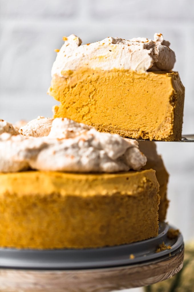 pumpkin cheesecake topped with pumpkin whipped cream