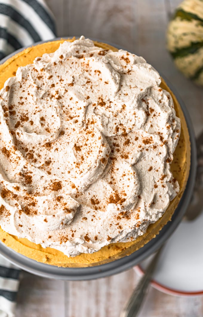 pumpkin spice whipped cream recipe spread on top of a pumpkin pie cheesecake