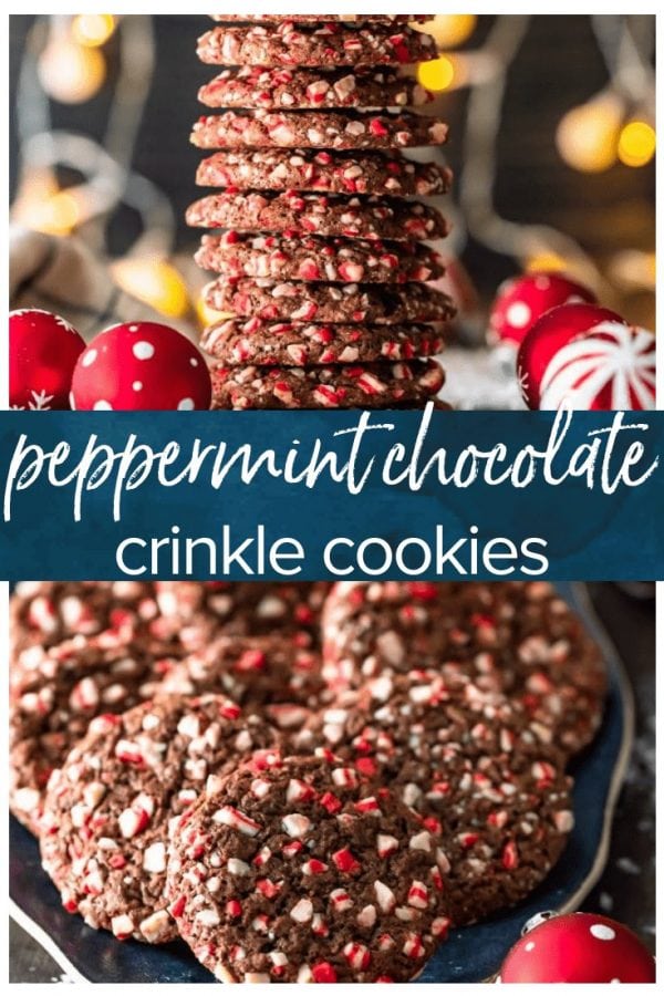 Chocolate Peppermint Cookies are a festive and delicious treat! These Peppermint Chocolate Crinkle Cookies are so chocolatey, with just the right amount of peppermint flavor. They're the perfect Christmas cookies!