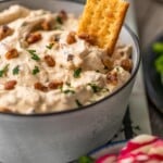 cracker in dip