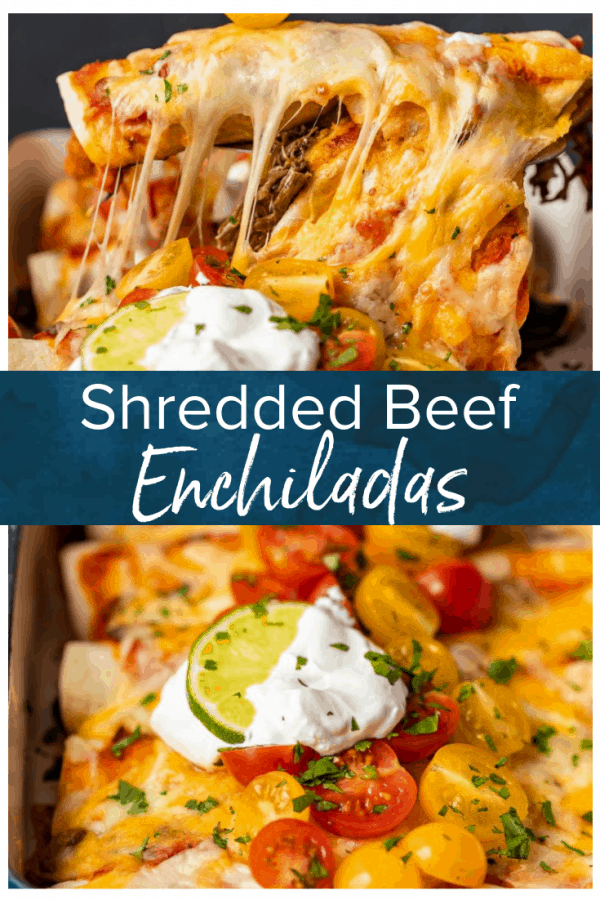 Shredded Beef Enchiladas are the perfect thing to serve for dinner. This is the best beef enchilada recipe I've ever had! They're filled with the most flavorful shredded beef, and topped with sour cream, cheese, tomatoes, and more. Make this amazing beef enchiladas recipe right away! #thecookierookie #enchiladas #beef #beefenchiladas #mexican #texmex #dinnerrecipes