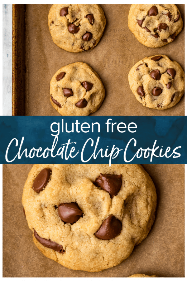 This Gluten Free Chocolate Chip Cookies recipe is super soft, moist, chewy, and delicious! Yes, you can make soft and chewy chocolate chip cookies without gluten, and boy are they good. Plus we added a special ingredient (it's cornstarch) to make them extra chewy. #thecookierookie #cookies #chocolatechipcookies #glutenfree #baking #dessert