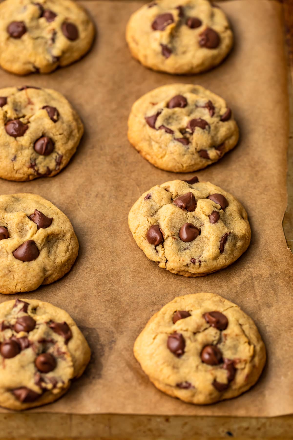 soft and chewy gluten free chocolate chip cookies