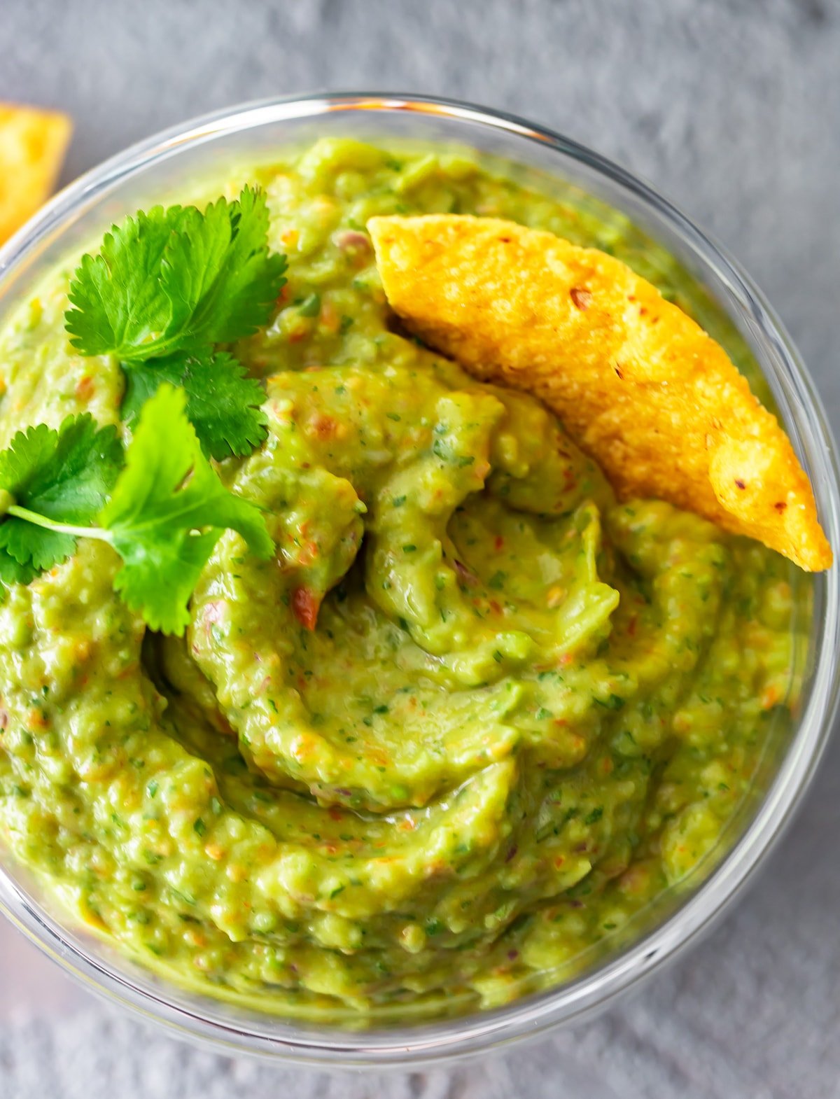 guacamole in a food processor with one chip dipped in