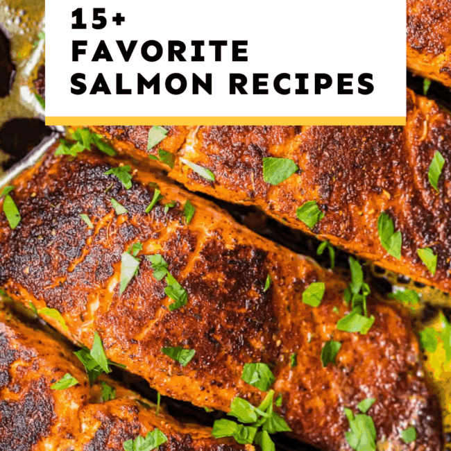salmon recipes guide