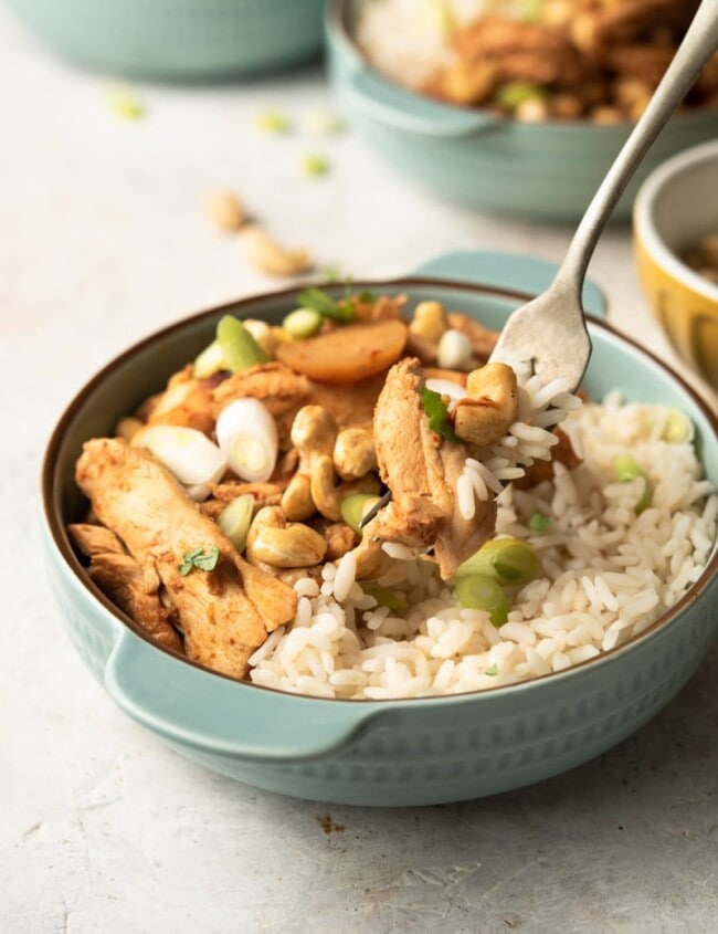 a bowl of cashew chicken and rice