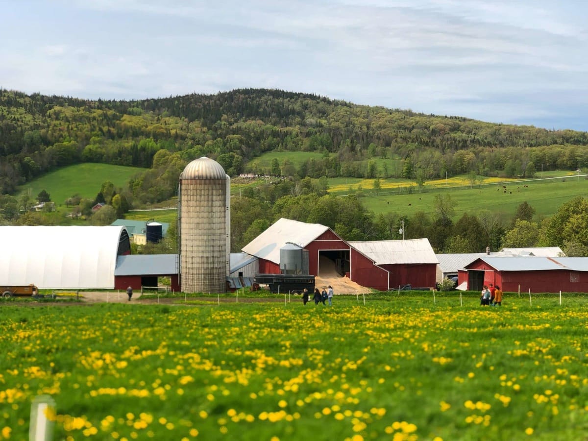 picture of stonyfield dairy farm