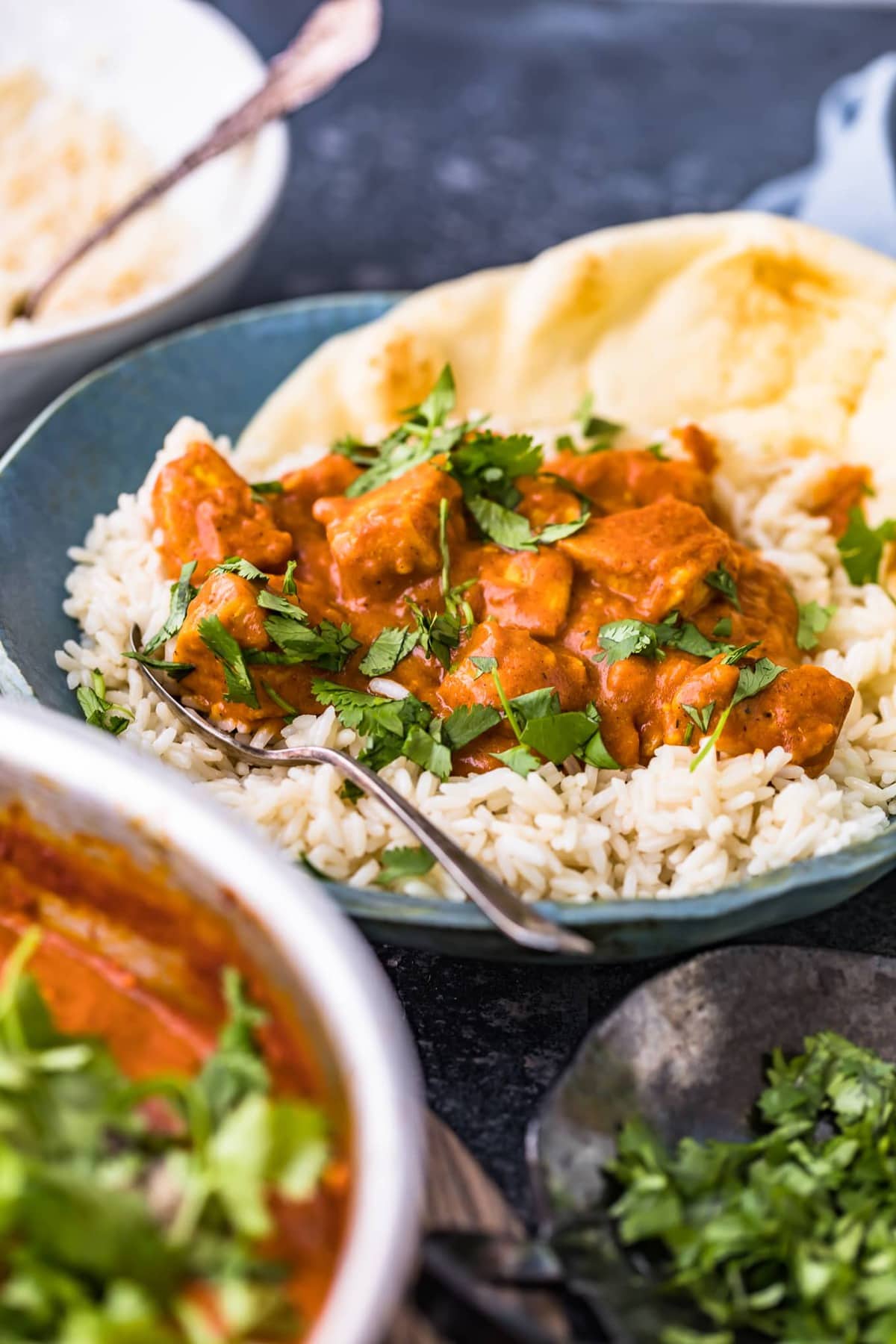 chicken curry on a bed of rice