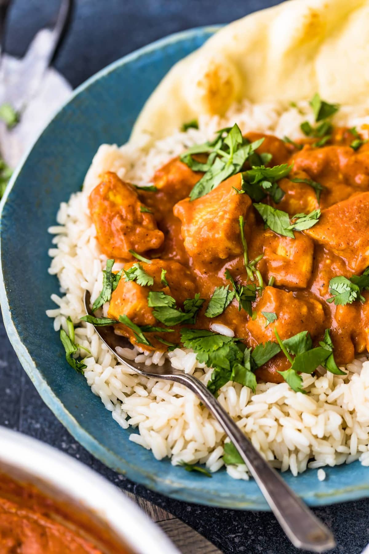 chicken curry on a plate with a spoon