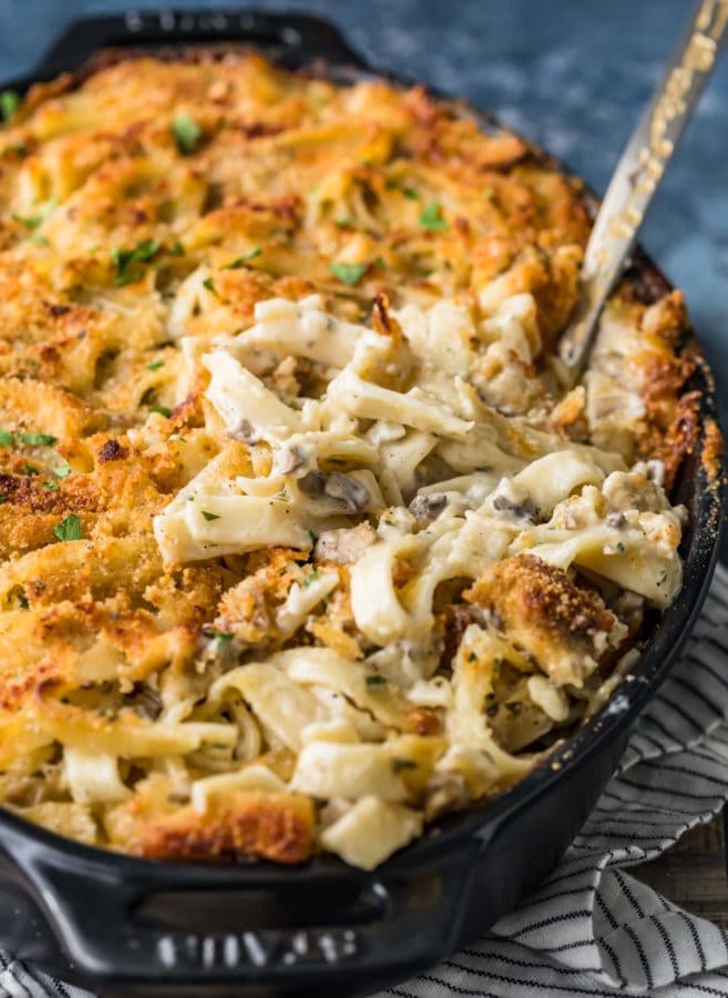 Chicken Tetrazzini, a casserole dish filled with pasta and mushrooms. - 2