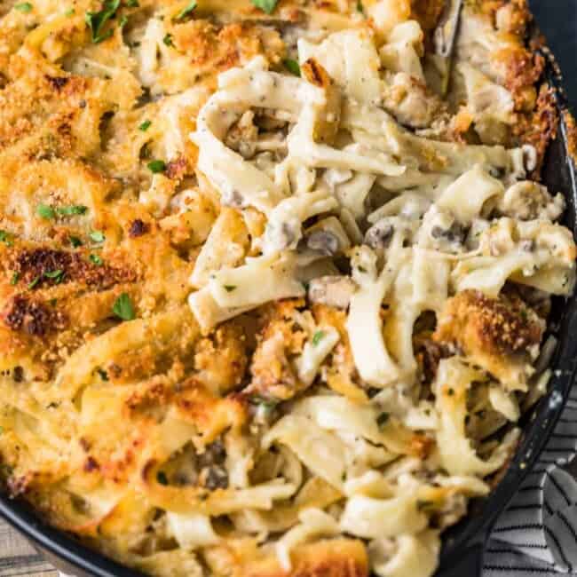 A close up of food, with Chicken and Tetrazzini
