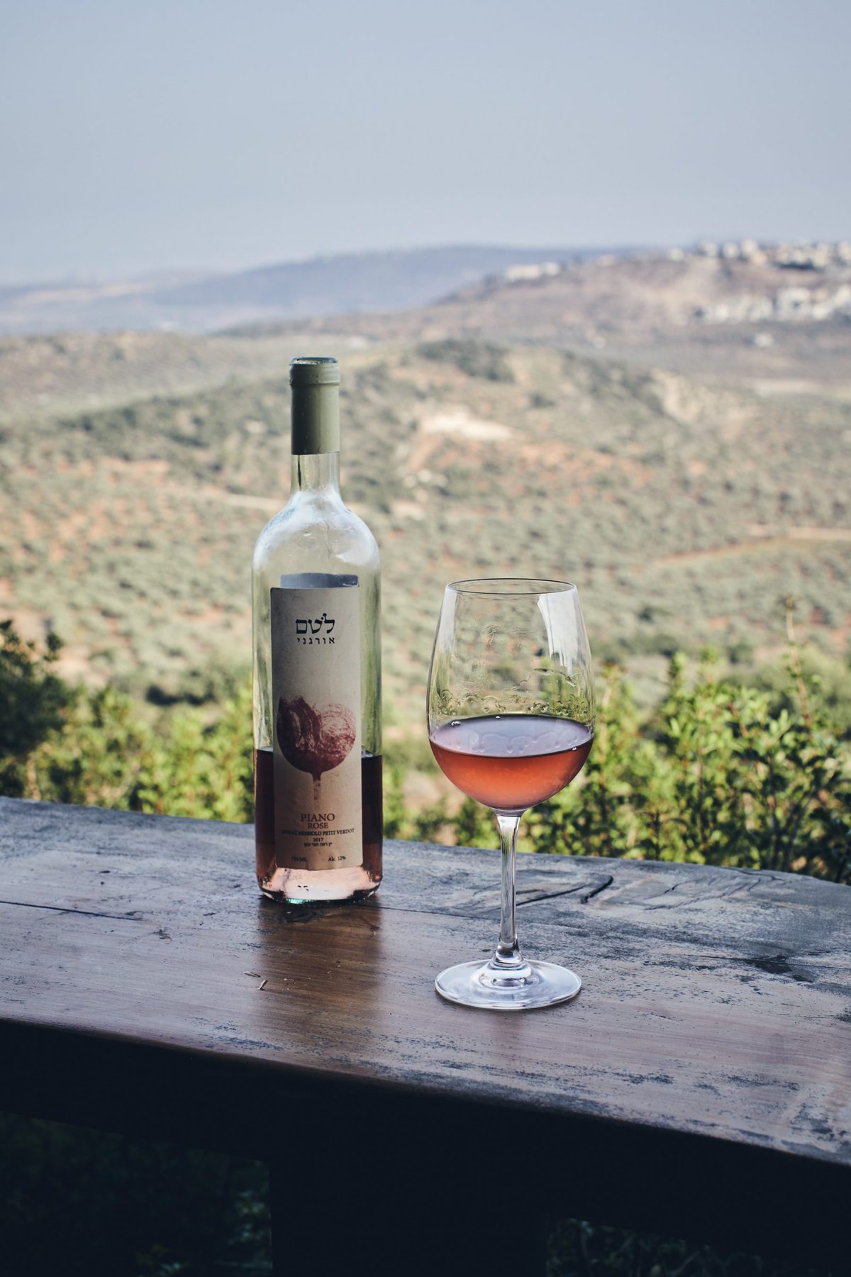 winery in Galilee Israel