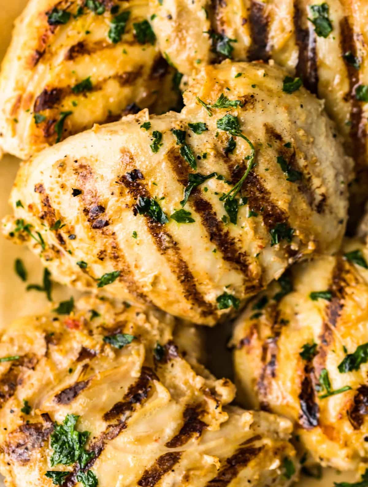 close up on grilled chicken