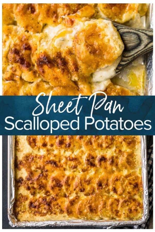 sheet pan scalloped potatoes pinterest photo