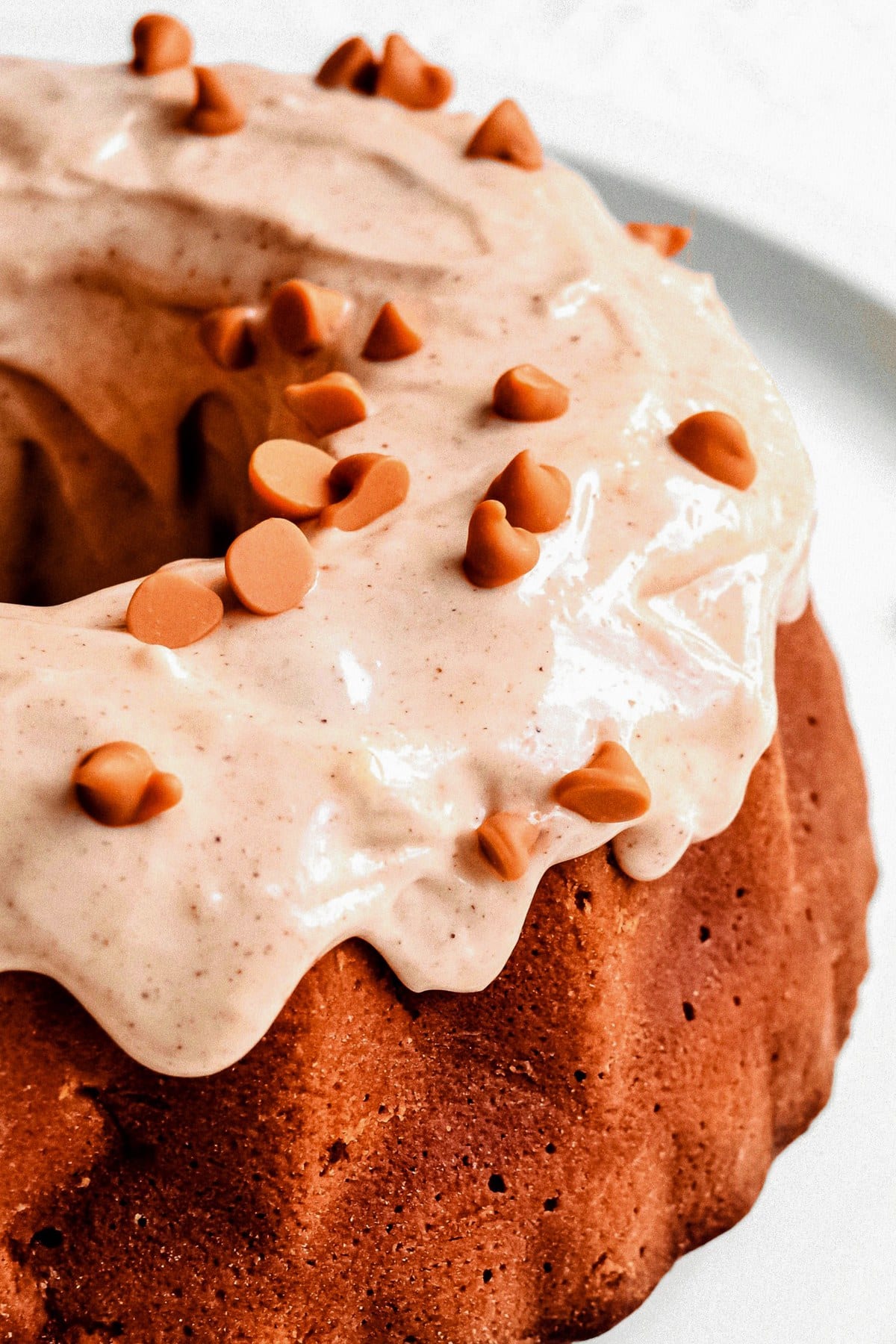 Close-up image of the cinnamon icing and cinnamon chips on top of the featured cake.