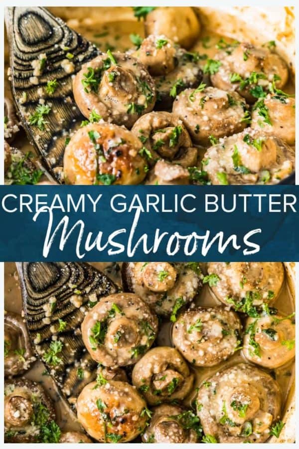 creamy garlic butter mushrooms pinterest pic