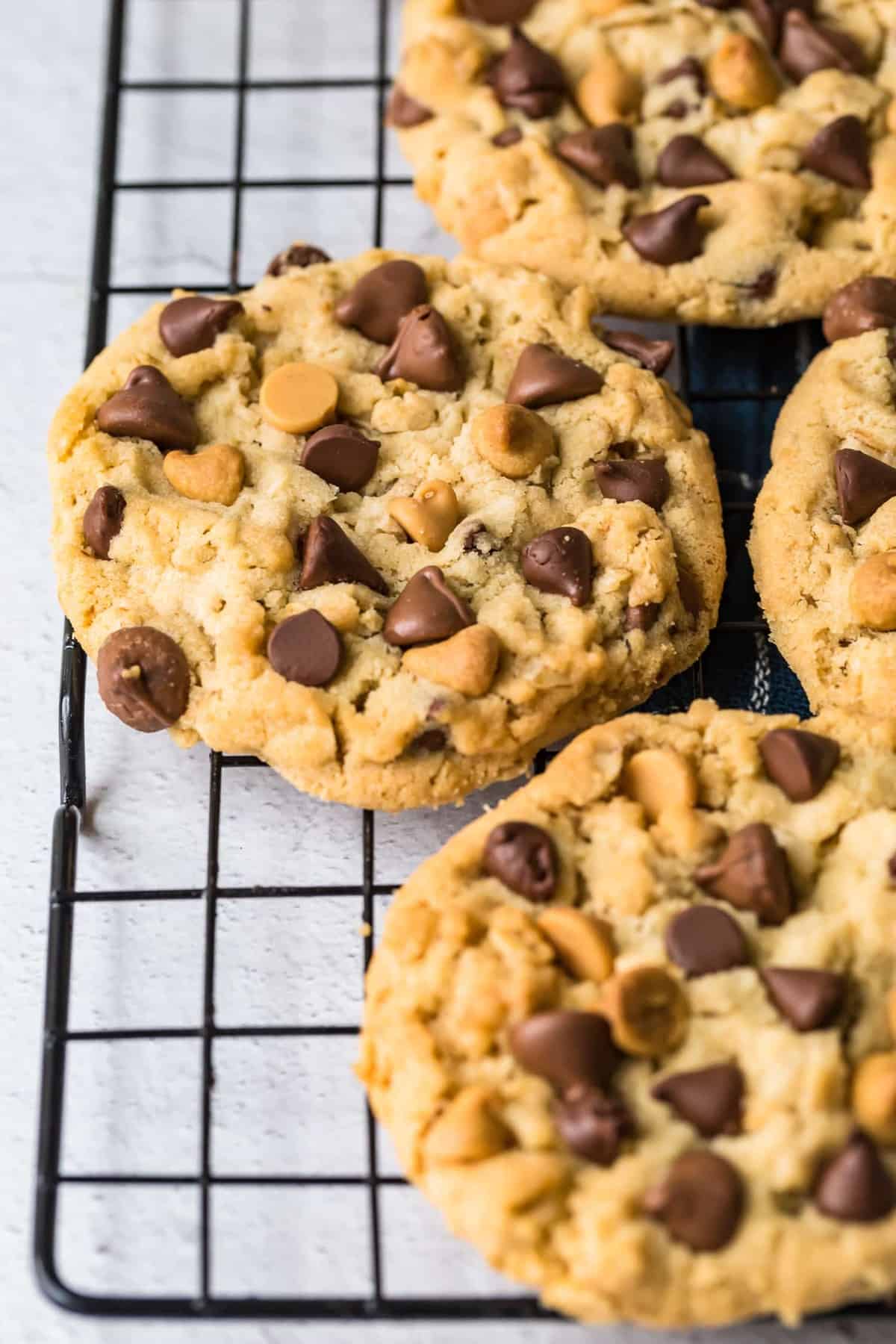 Close up of a giant cookie on a rack