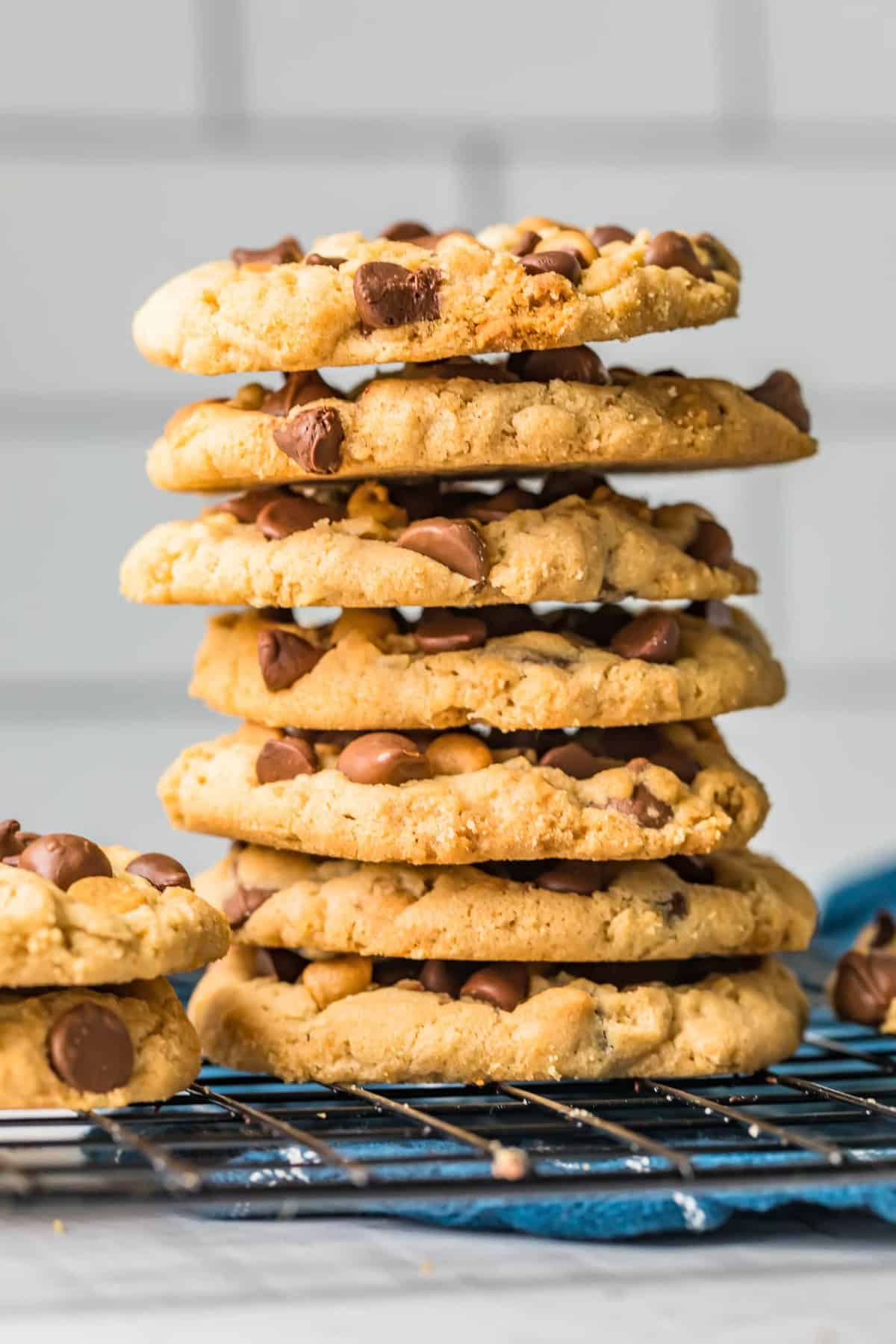 A stack of cookies