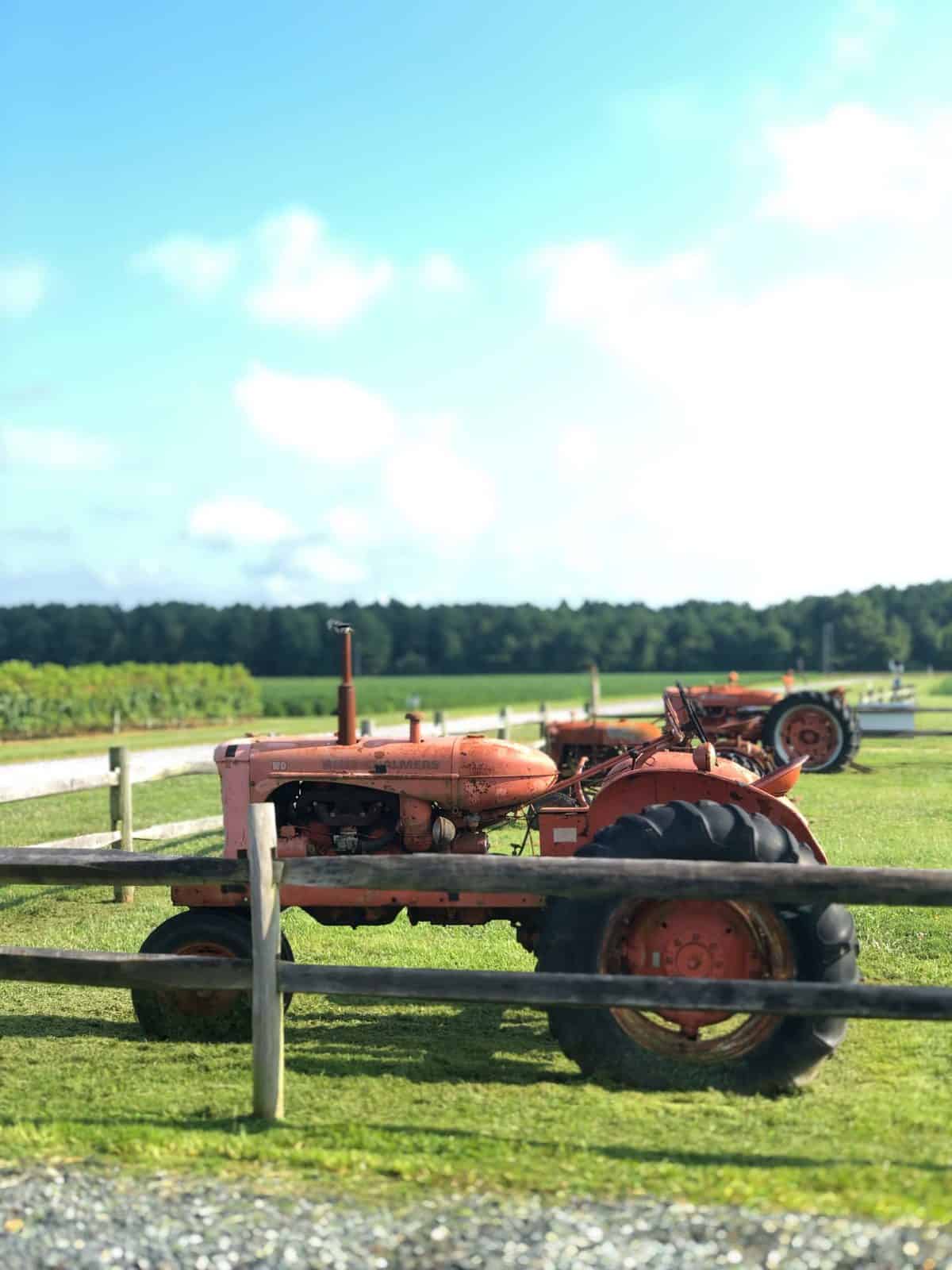 An old red tractor on a lawn with a wooden fence