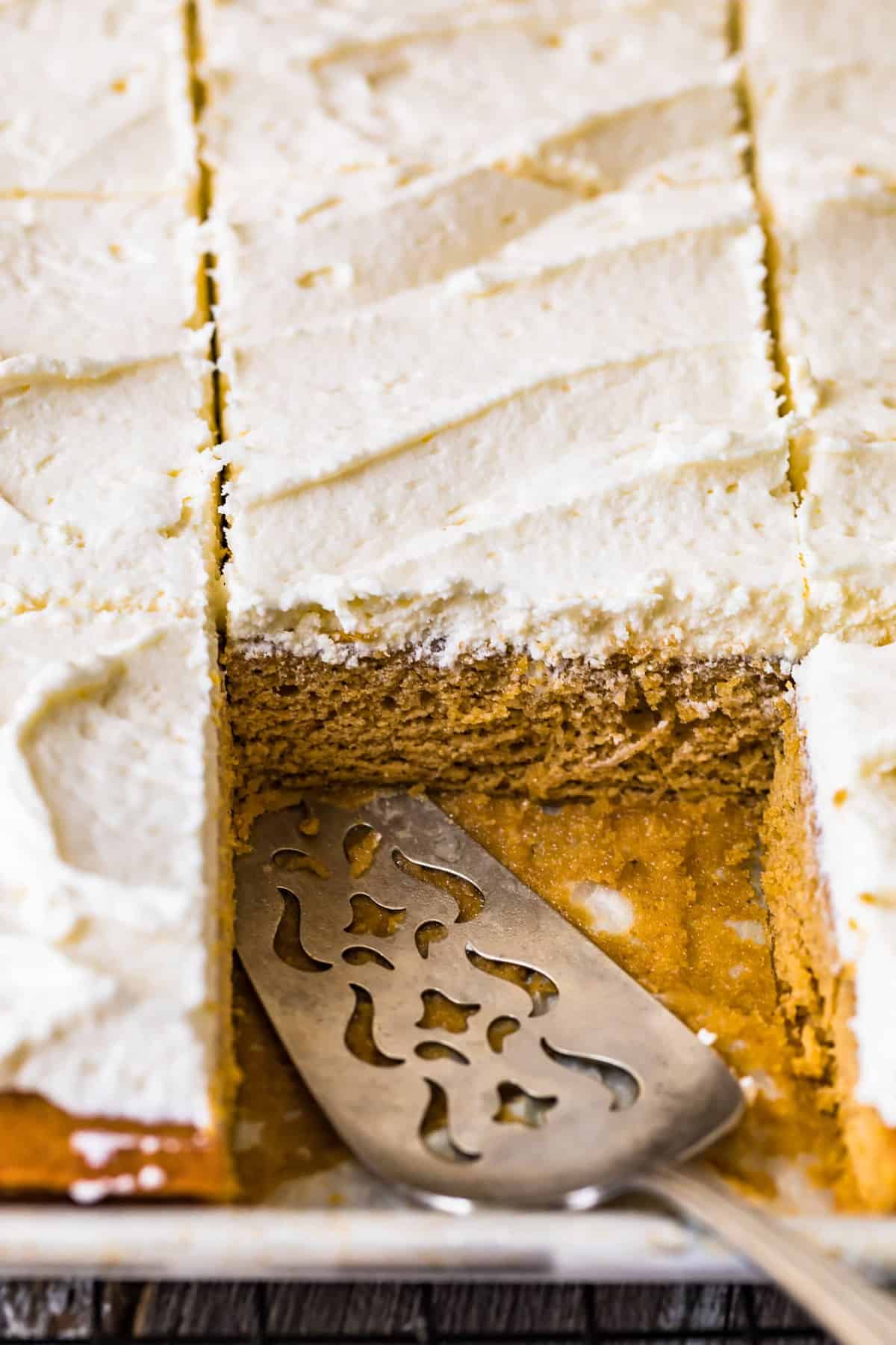 Close up of the texture of the pumpkin cake