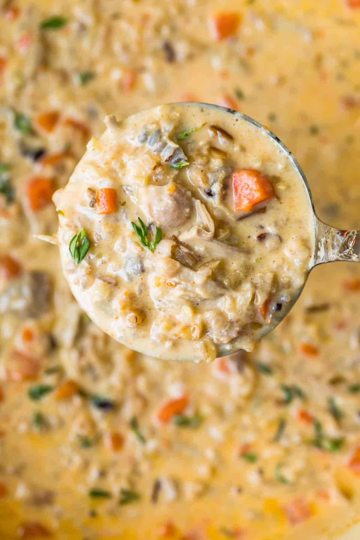 Close up of the soup on a ladle