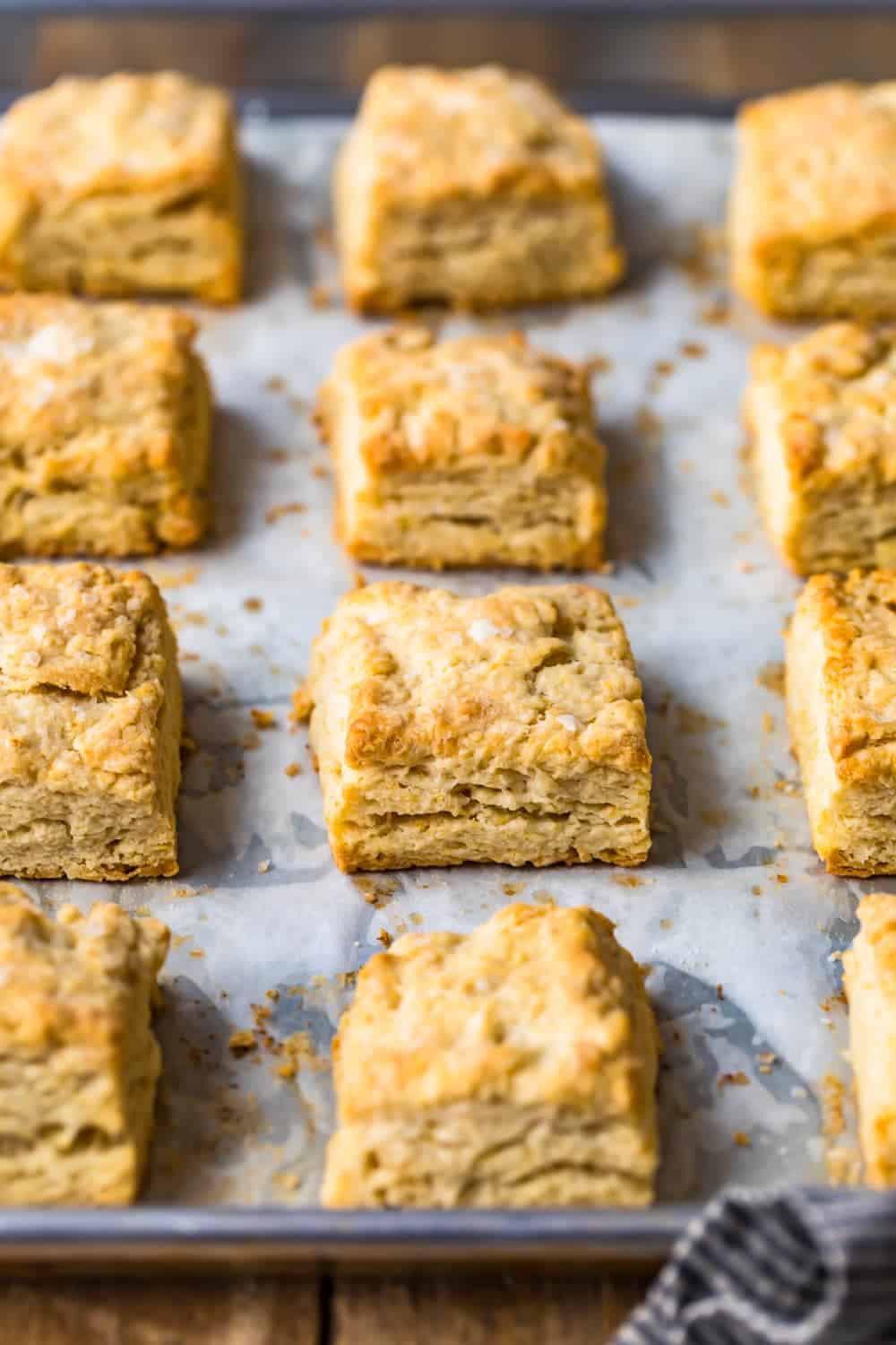 Easy Buttermilk Biscuits on a baking tray with parchment