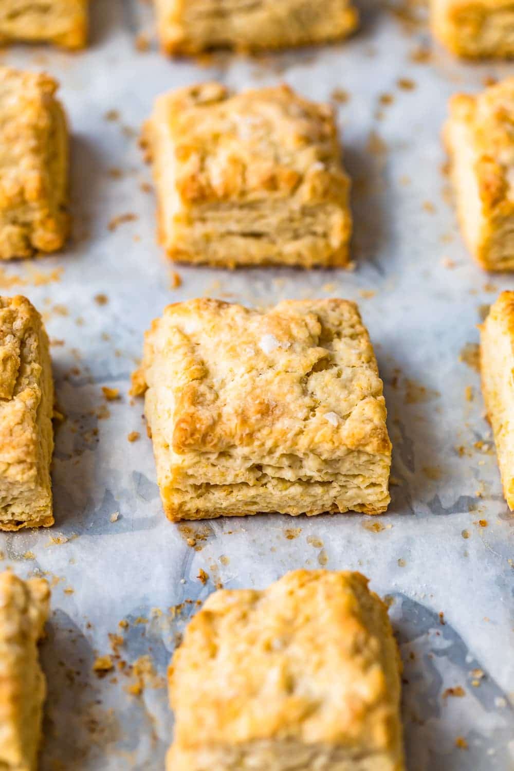 Easy buttermilk biscuits arranged in squares on a baking sheet.