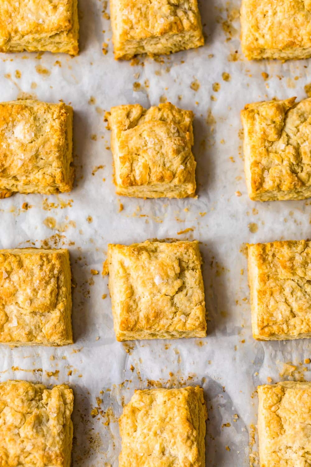 Top down shot of baked biscuits on parchment