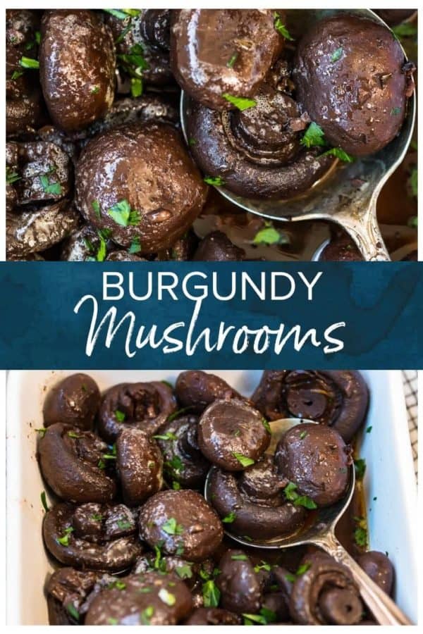 burgndy mushrooms pinterest collage