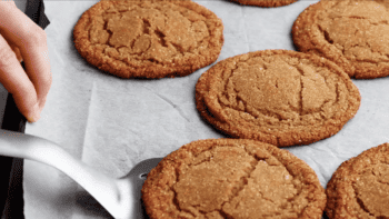 Soft ginger molasses cookies on a baking sheet with a spoon.