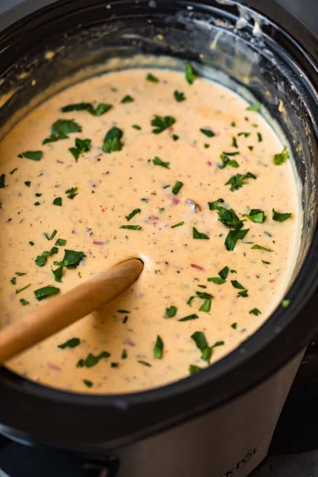 Crock Pot Queso Cheese Dip Recipe The Cookie Rookie® (VIDEO)