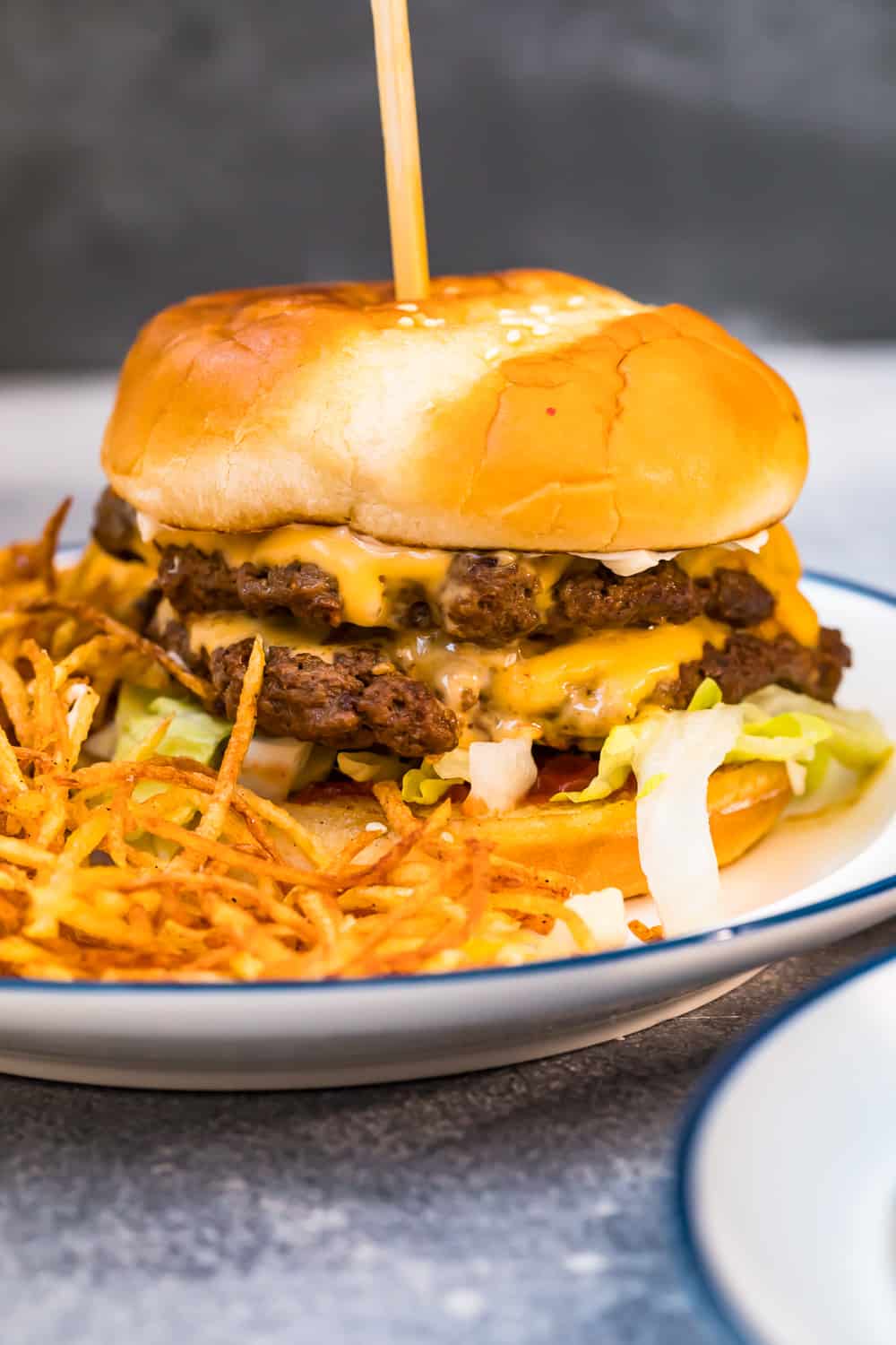 burger and fries on plate