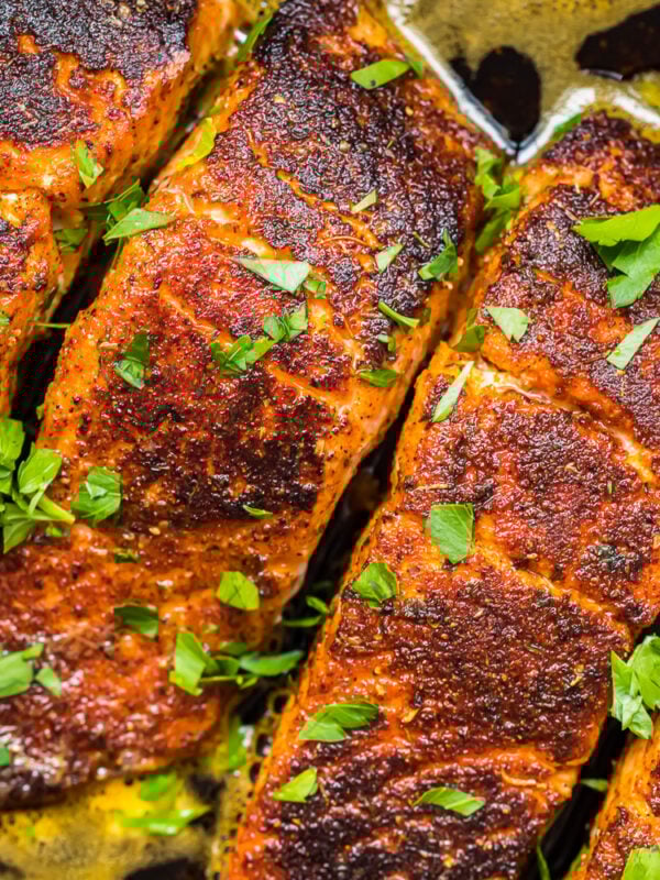 A close up of Salmon