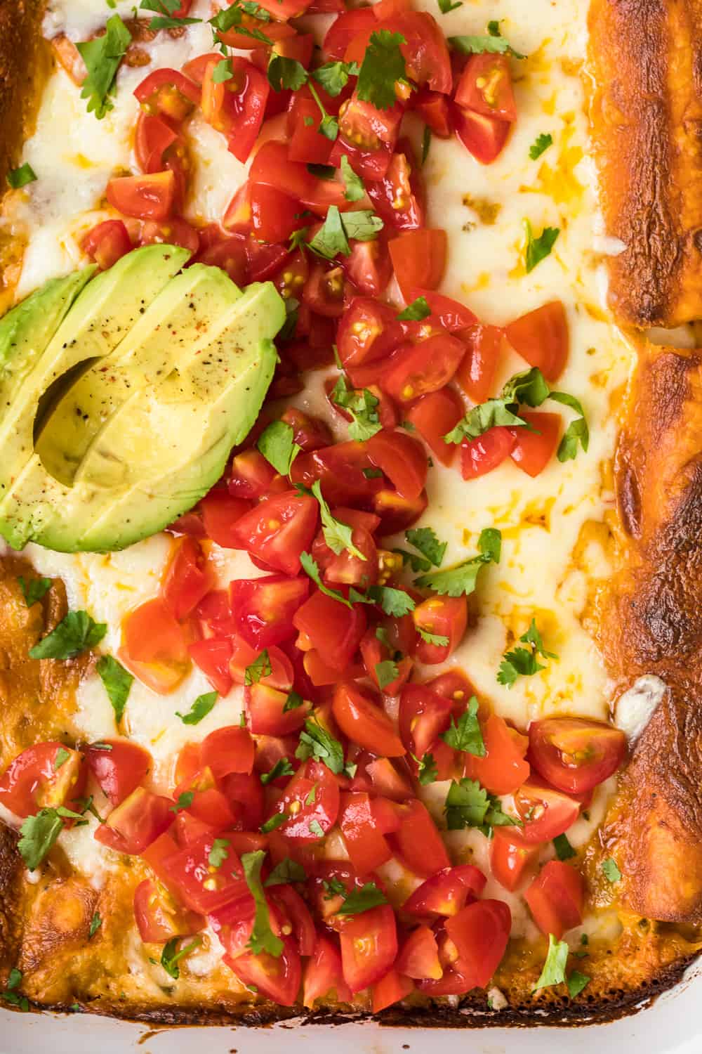 avocado and chopped tomatoes on top of enchiladas