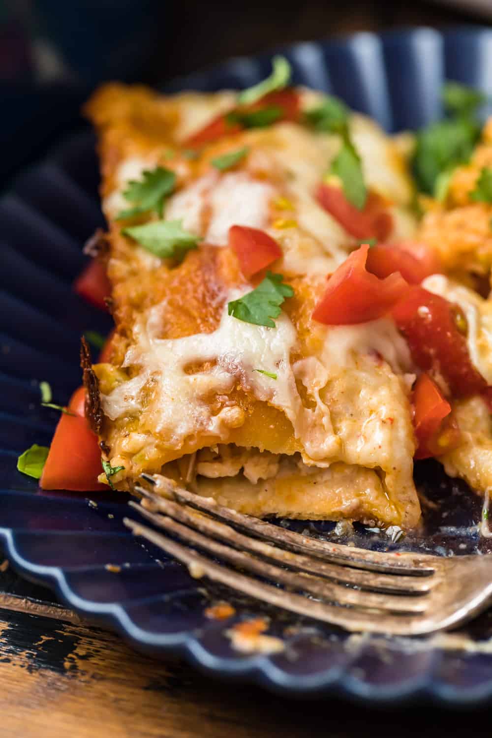 Cheesy Creamy Chicken Enchiladas - The Cookie Rookie® (VIDEO)