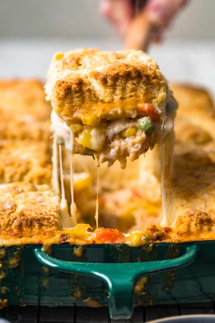 Cheesy Chicken Pot Pie with Biscuit Topping Recipe The Cookie Rookie®