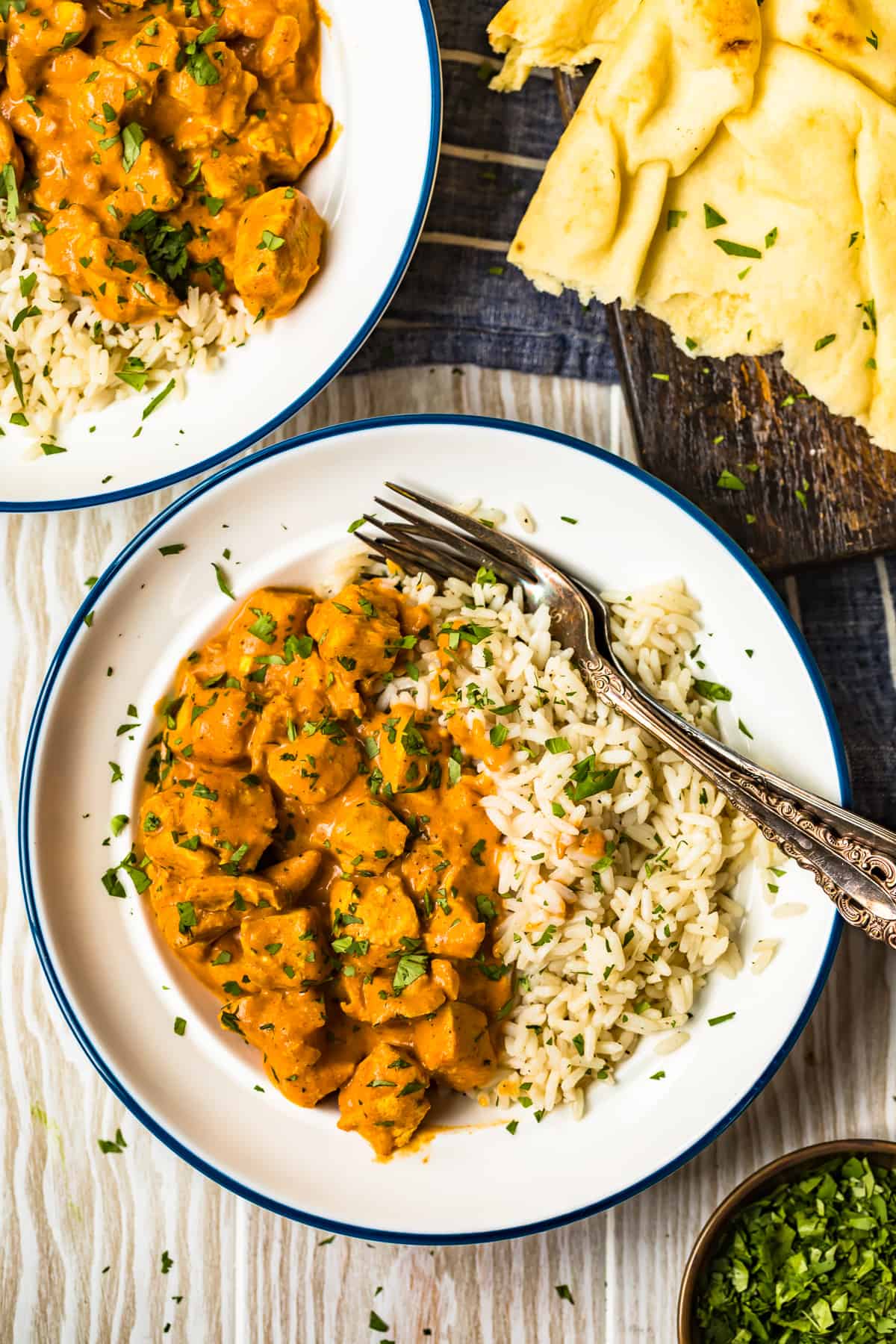 chicken curry on a plate 