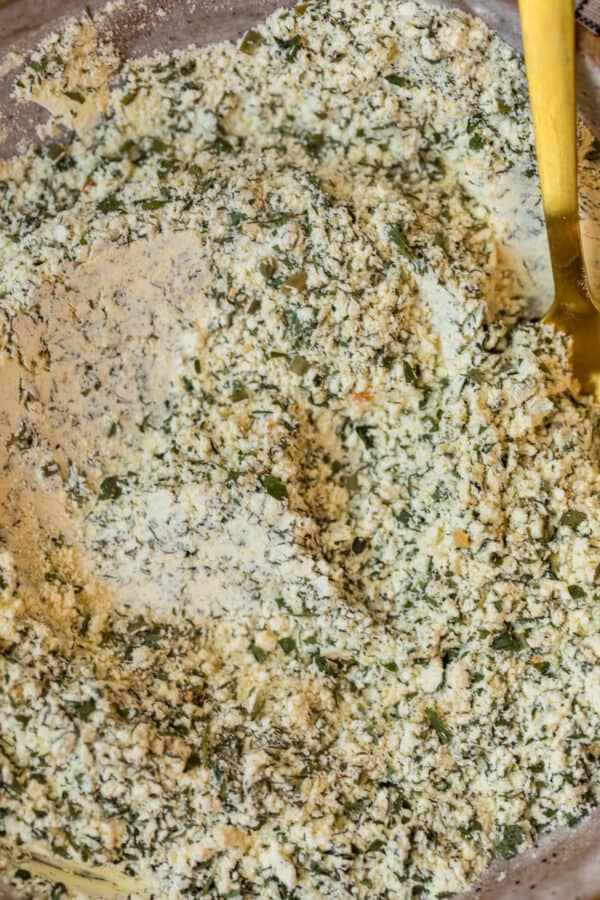 close up of ranch seasoning mix