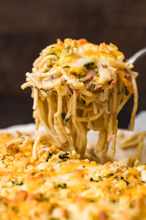 forkful of creamy chicken casserole