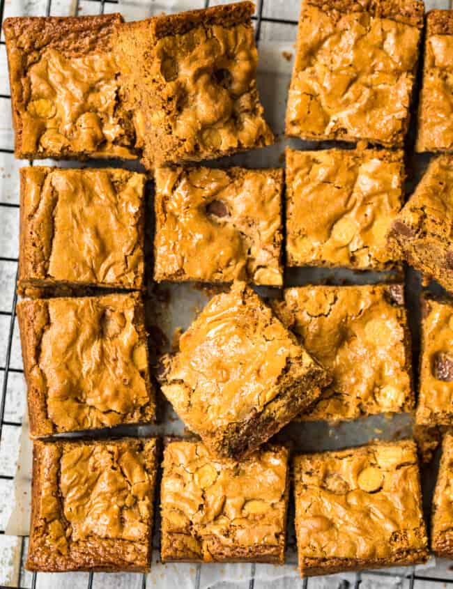 overhead image of sliced blondies with chocolate chips