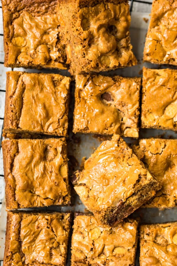 overhead image of sliced blondies