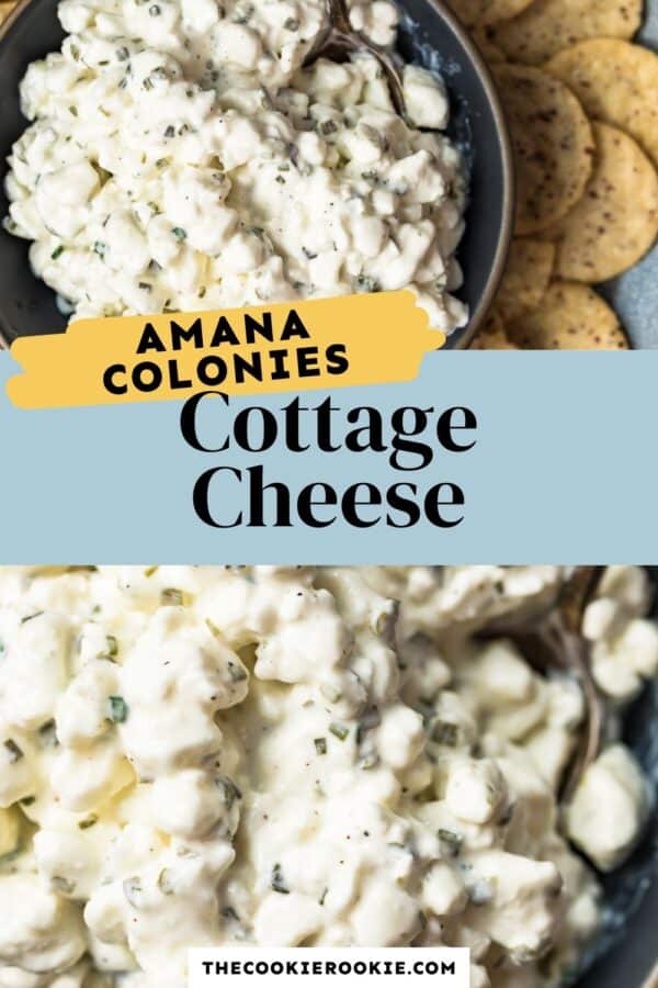 amish cottage cheese recipe pinterest