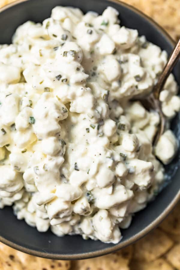 up close image of cottage cheese with spoon