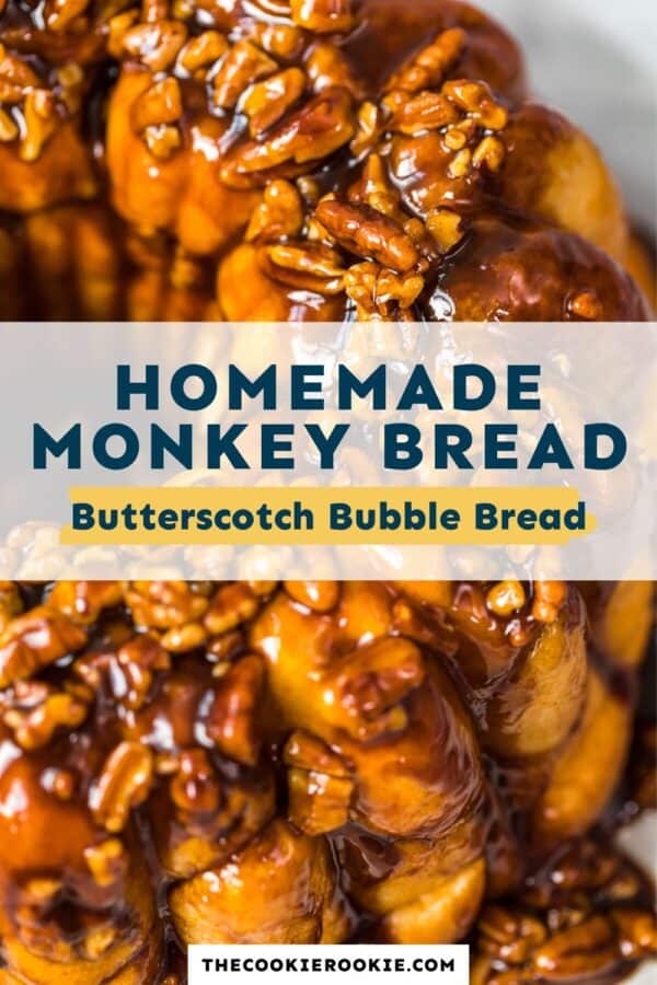 https://www.thecookierookie.com/butterscotch-monkey-bread-recipe-bubble-bread/‎(opens in a new tab)