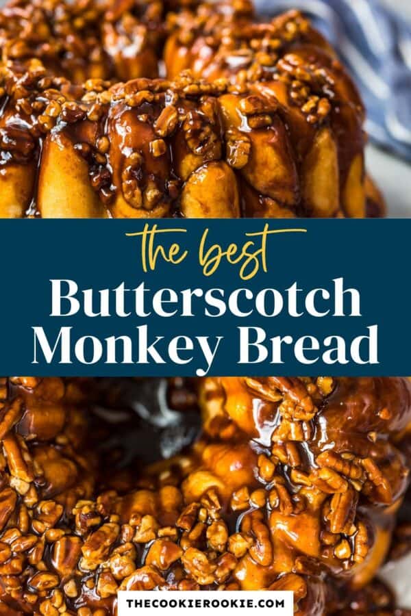 https://www.thecookierookie.com/butterscotch-monkey-bread-recipe-bubble-bread/‎(opens in a new tab)