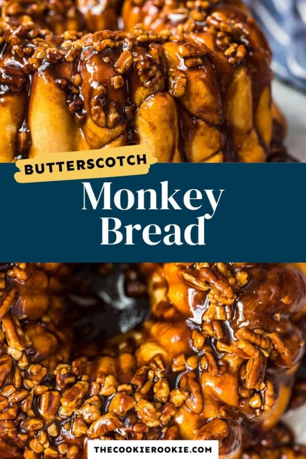 https://www.thecookierookie.com/butterscotch-monkey-bread-recipe-bubble-bread/‎(opens in a new tab)