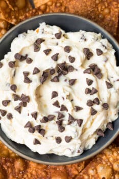 Chocolate Chip Cannoli Dip with Wonton Chips Recipe - The Cookie Rookie®